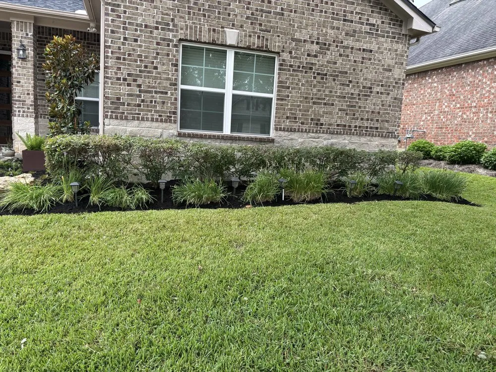 Reliable yard cleanup service for residential properties in Katy, TX by T's Lawn And Landscaping Services