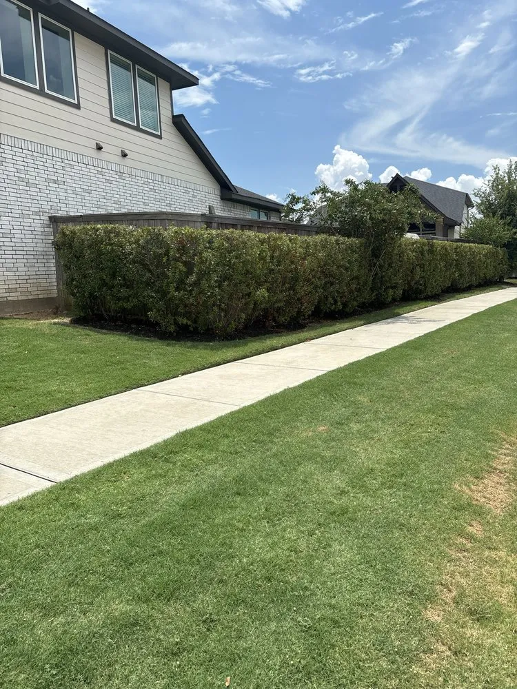 Trusted lawn mowing service in Katy, TX - T's Lawn And Landscaping Services