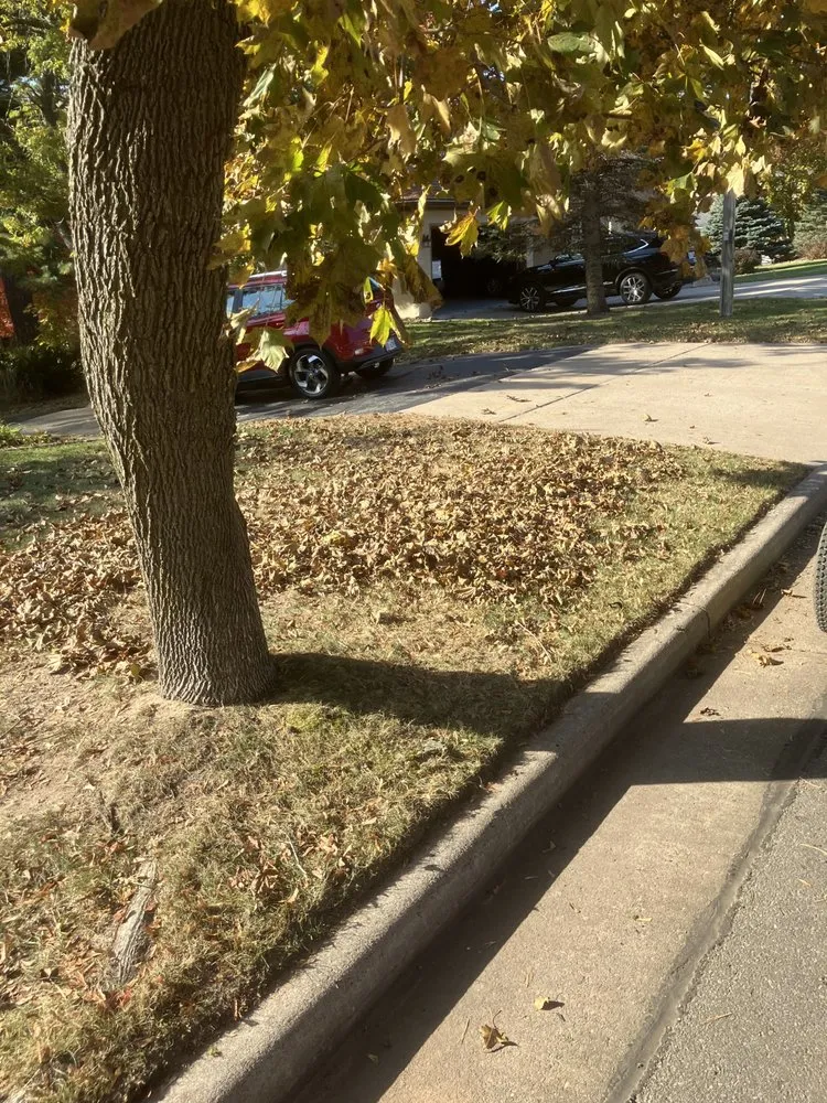 Local lawn care service experts serving Weston, WI - Ts Lawn Barbers