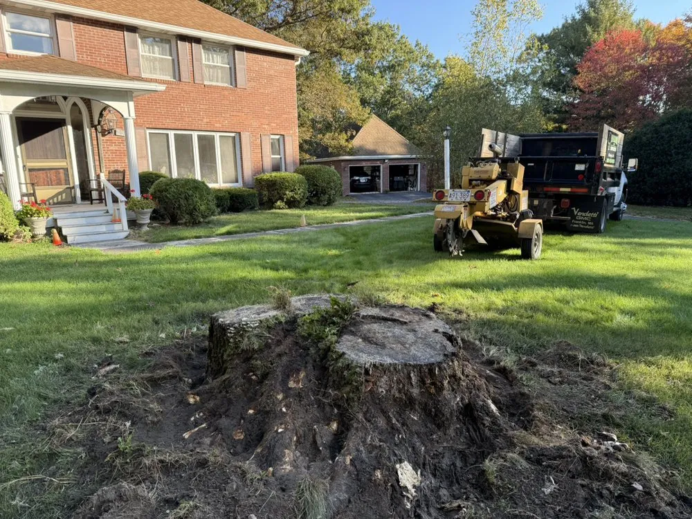 Professional residential landscaping experts serving Uxbridge, MA - T'S Lawn Care & Stump Grinding