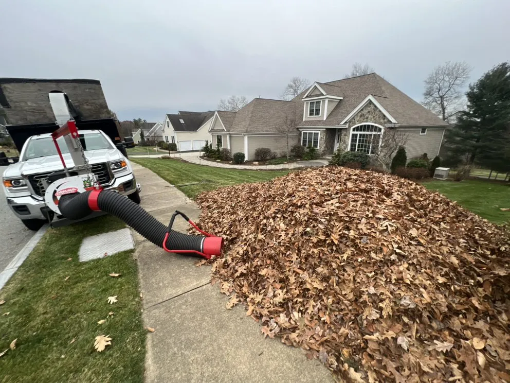 Top-rated landscaping services in Uxbridge, MA - T'S Lawn Care & Stump Grinding