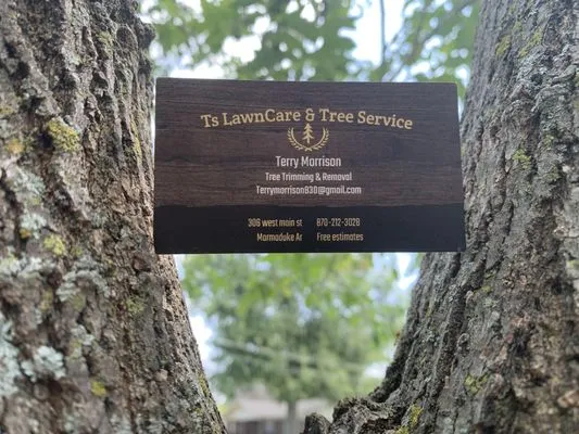 TS Lawn Care N Tree Service