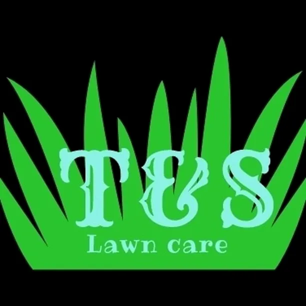 Custom yard maintenance in Springville, UT - T&S Lawn Care