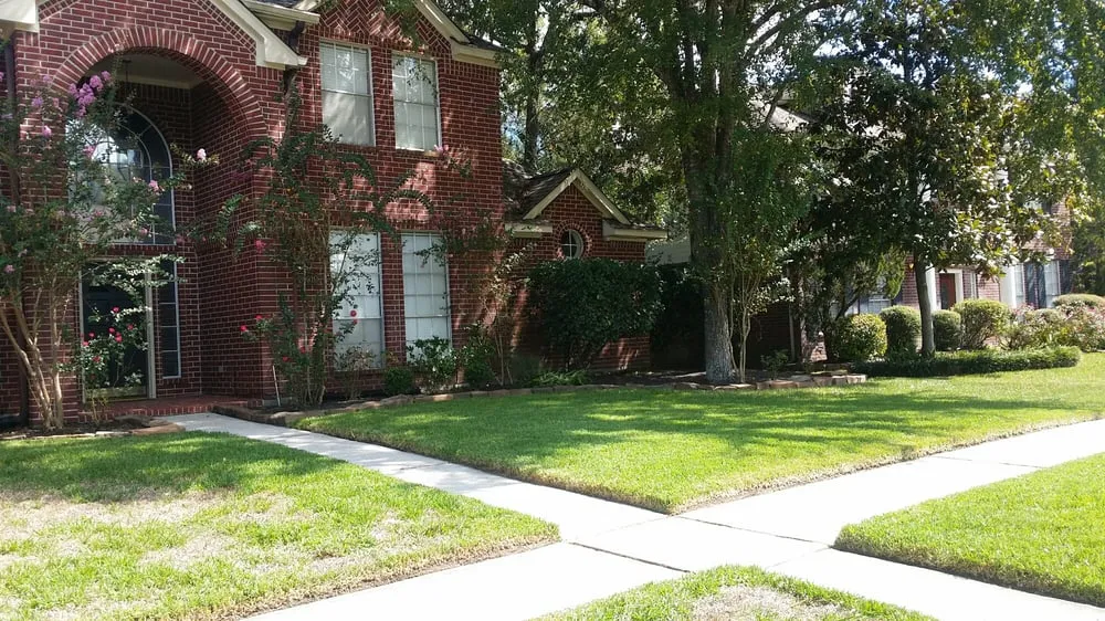 Top-rated residential landscaping in Spring, TX - T&S Lawn Services