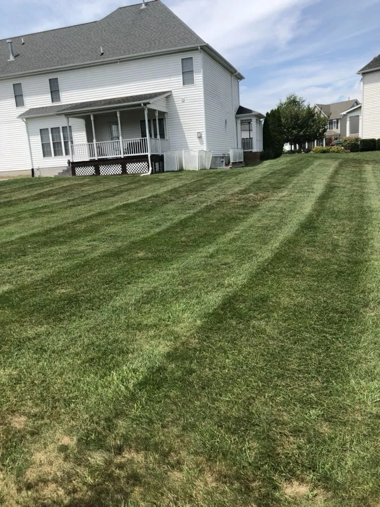 Local landscaping services experts serving Charles Town, WV - T.S Mowing