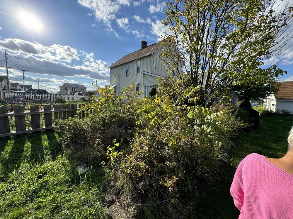 Top-rated yard maintenance for residential properties across Derry, PA - TS Property Professionals