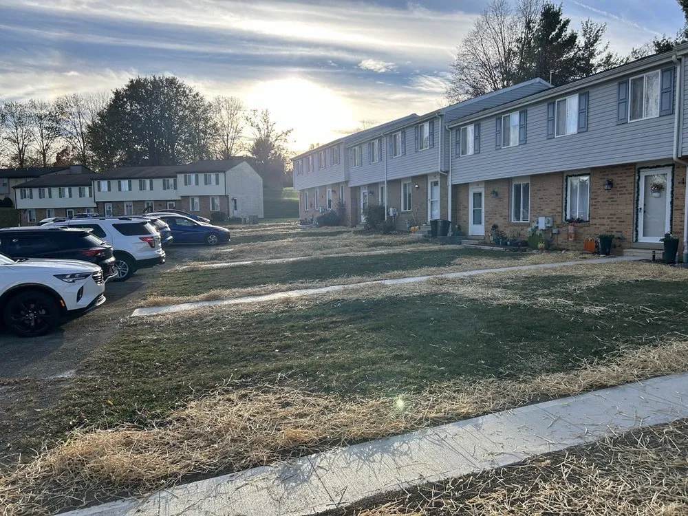 Reliable yard cleanup service experts serving Derry, PA - TS Property Professionals