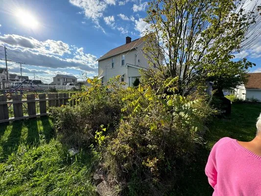 TS Property Professionals