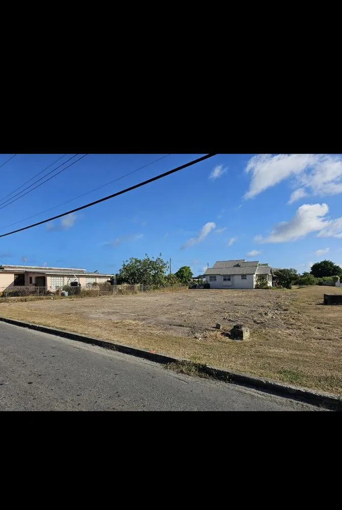 Professional outdoor landscaping with custom design across Boutte, LA - T&S Services