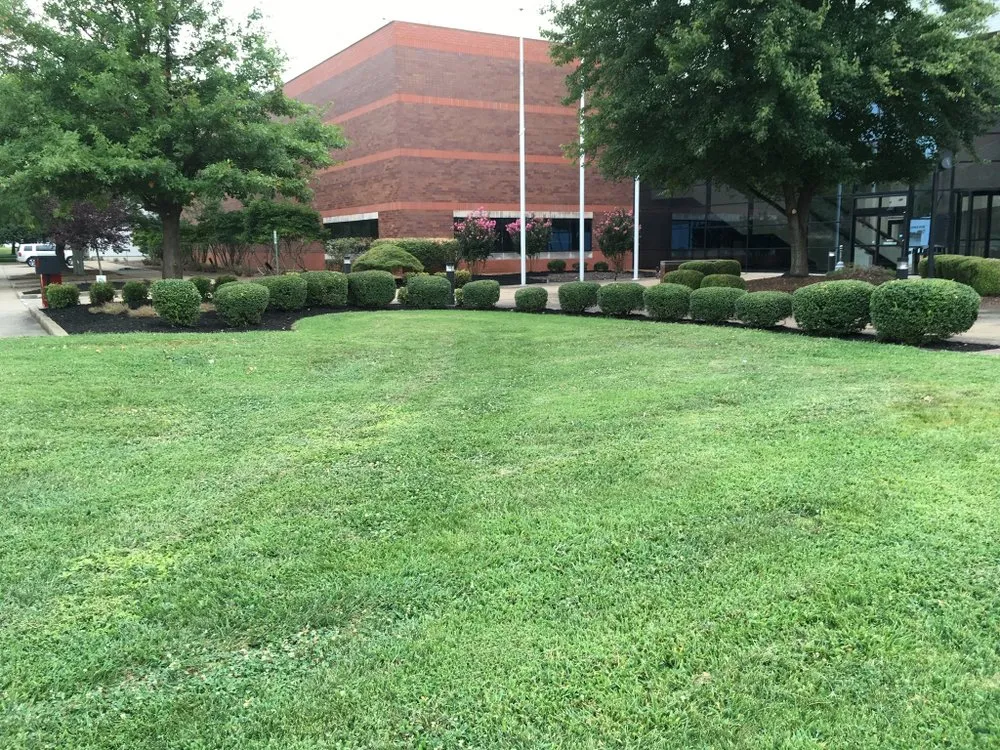 Local residential landscaping in Newburgh, IN - T’s Total Concepts And More