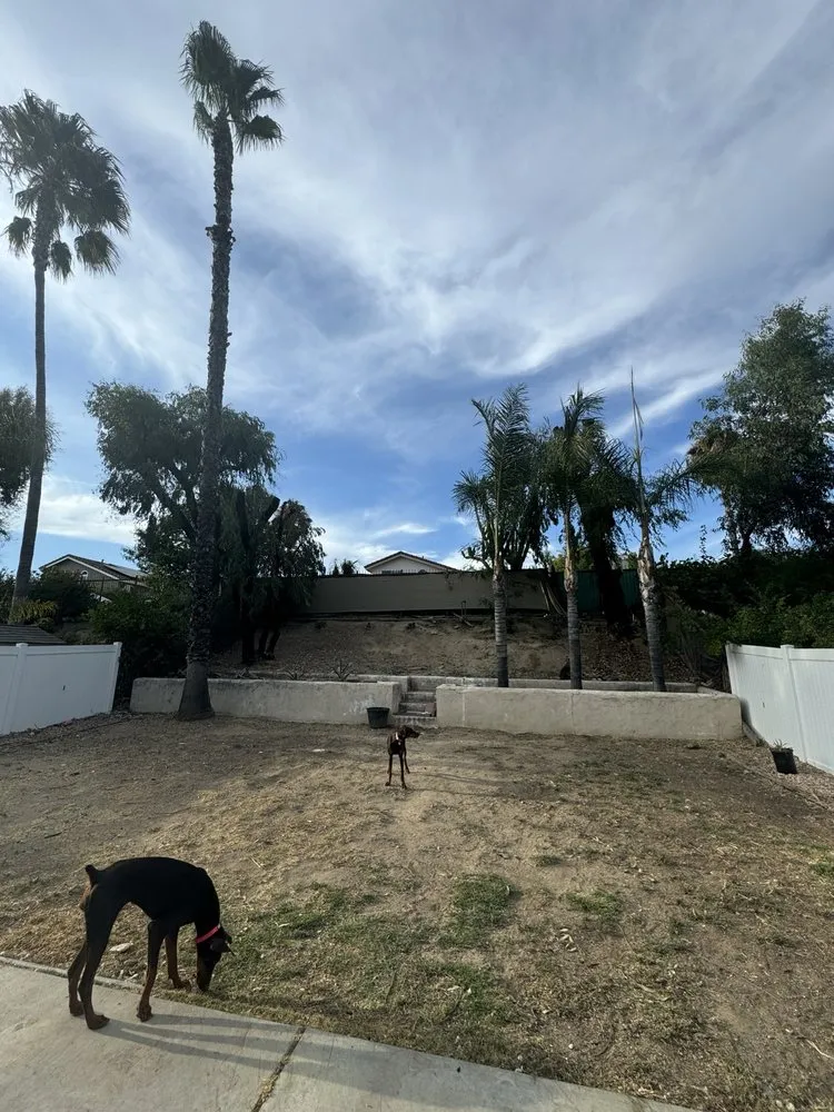 Reliable landscape design for year-round maintenance in Hemet, CA by T&S Tree Service and Landscaping