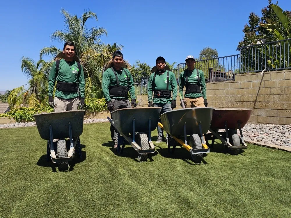 Top-rated landscaping services with custom design in Hemet, CA by T&S Tree Service and Landscaping