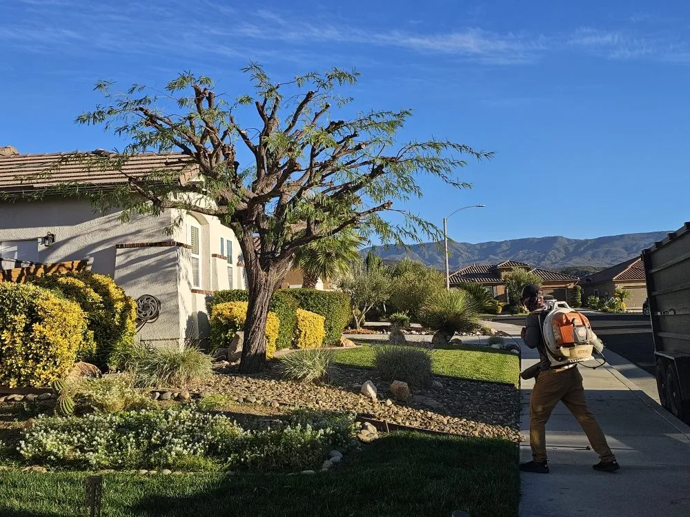 Top-rated lawn mowing service with custom design across Hemet, CA - T&S Tree Service and Landscaping