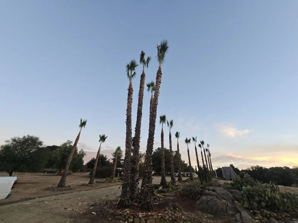 Affordable garden landscaping near you in Hemet, CA by T&S Tree Service and Landscaping