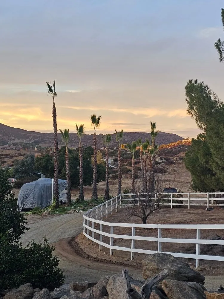 Local landscape design in Hemet, CA by T&S Tree Service and Landscaping