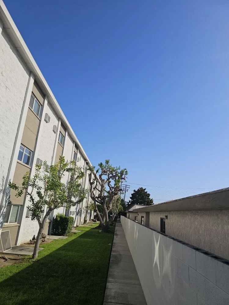 Trusted landscaping services with custom design in Hemet, CA by T&S Tree Service and Landscaping