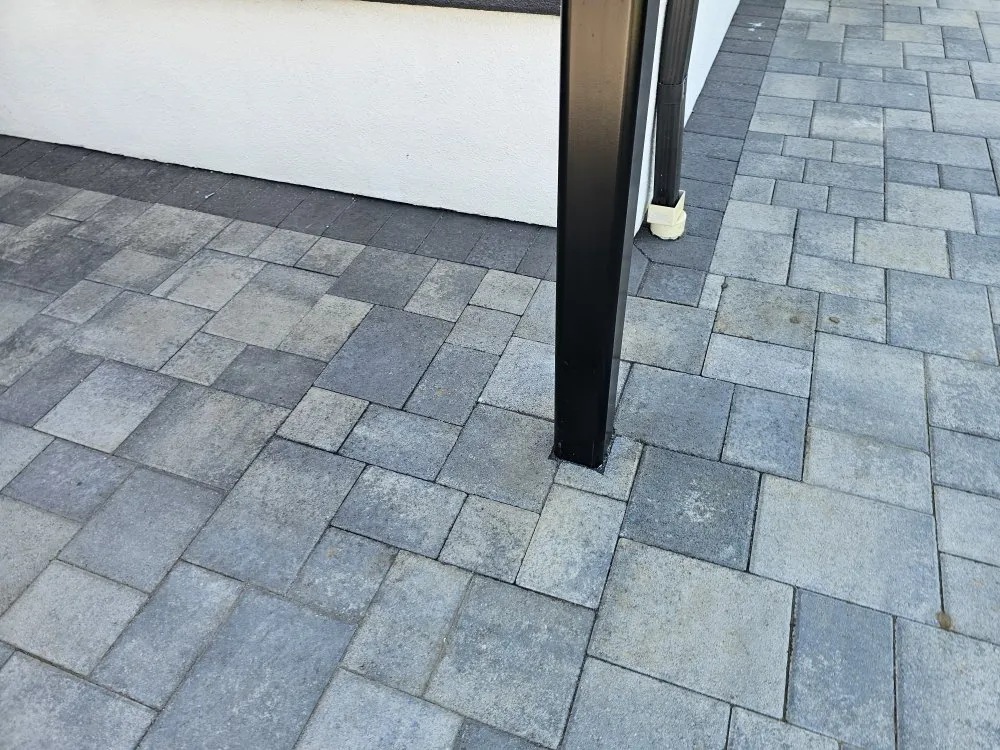 Reliable yard cleanup service in Hemet, CA by T&S Tree Service and Landscaping