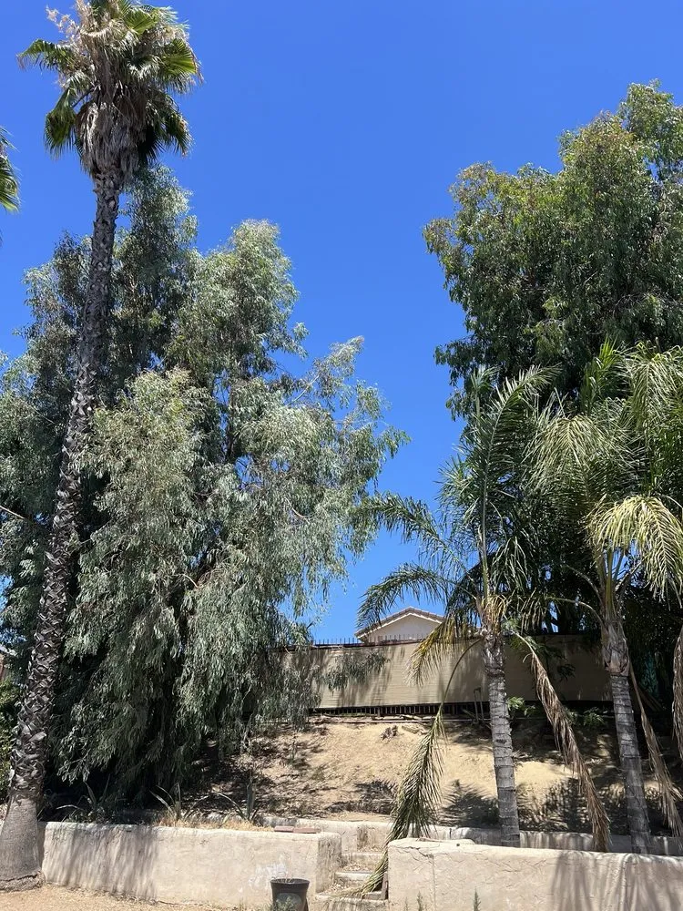 Custom landscape design with custom design across Hemet, CA - T&S Tree Service and Landscaping