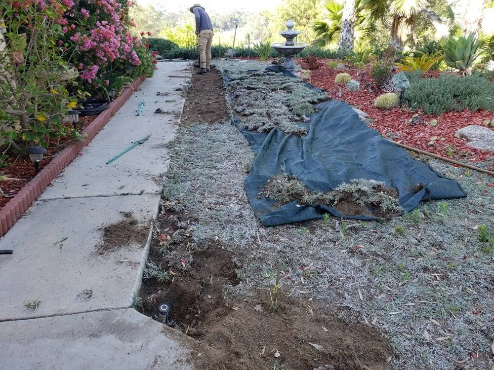 Affordable lawn mowing service experts serving Hemet, CA - T&S Tree Service and Landscaping