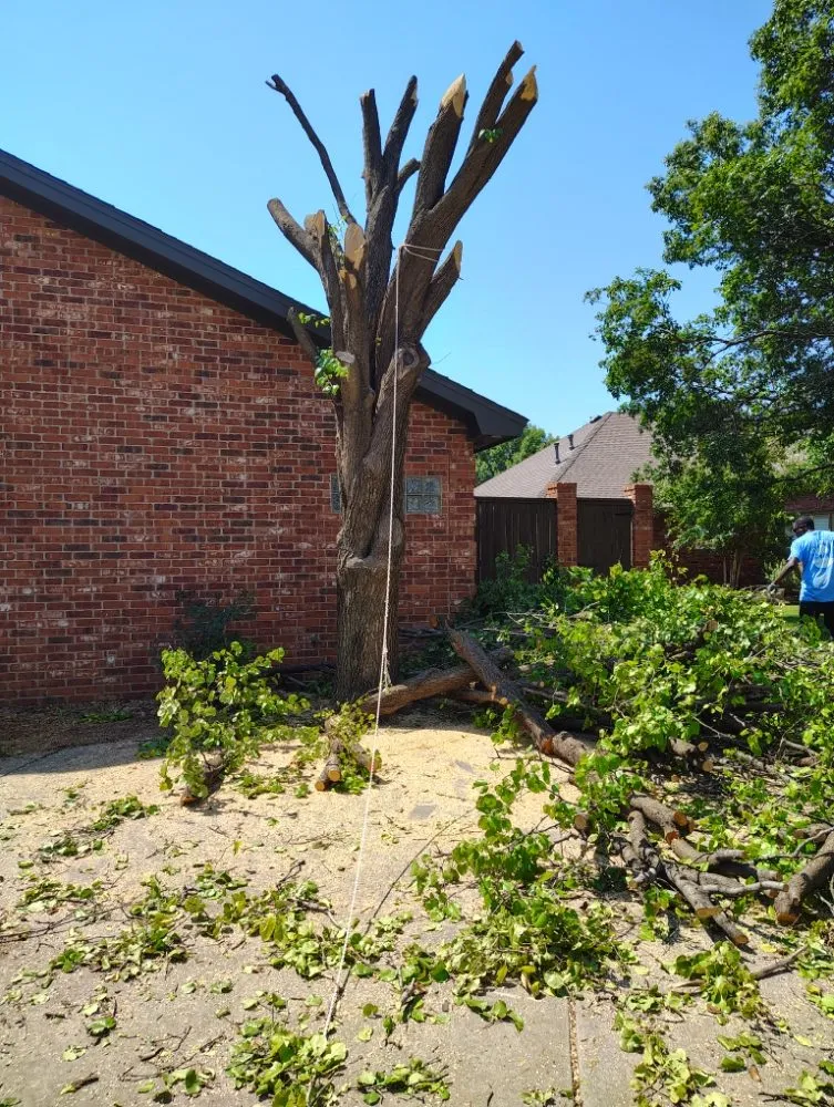 Top-rated garden landscaping experts serving Lubbock, TX - T's Tree Trimming and Lawn Care