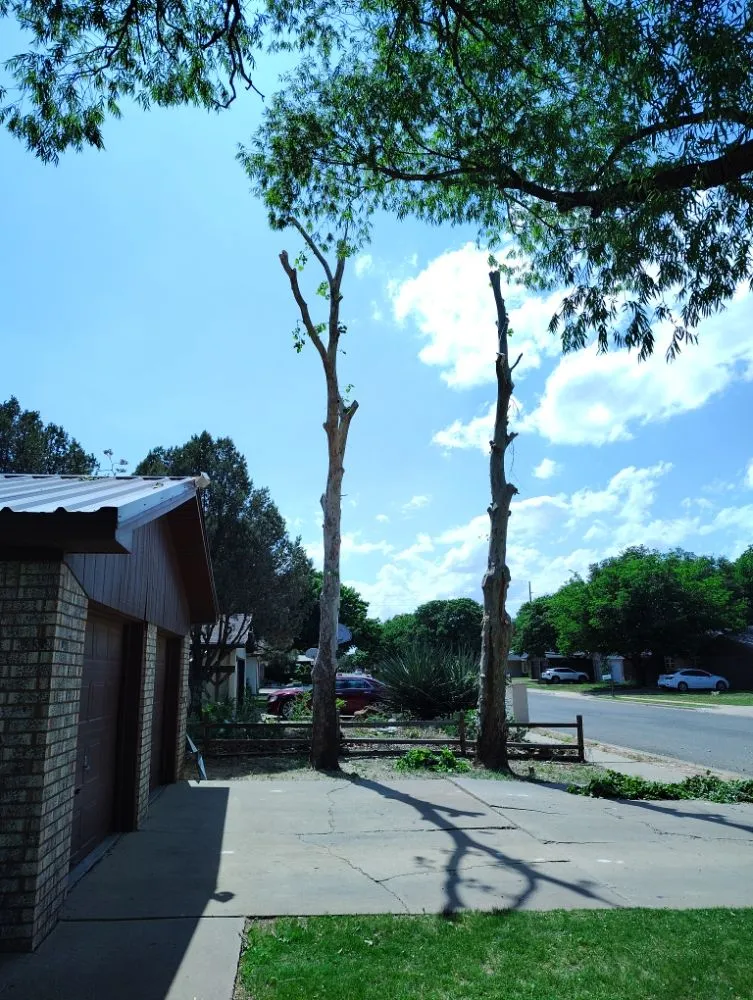 Professional landscape design in Lubbock, TX by T's Tree Trimming and Lawn Care