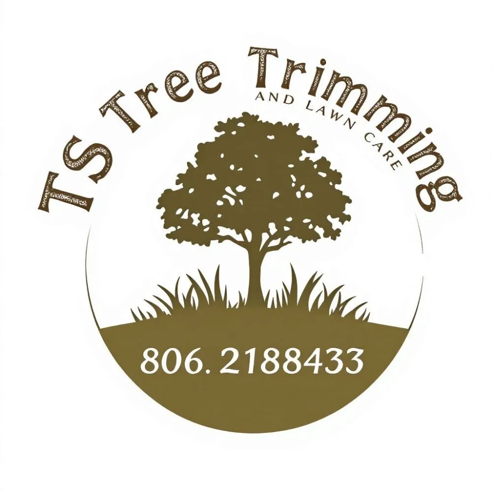 Local lawn care service in Lubbock, TX by T's Tree Trimming and Lawn Care