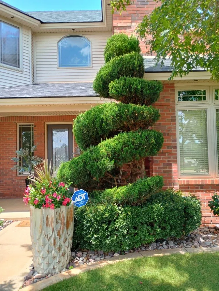 Custom lawn mowing service in Lubbock, TX by T's Tree Trimming and Lawn Care