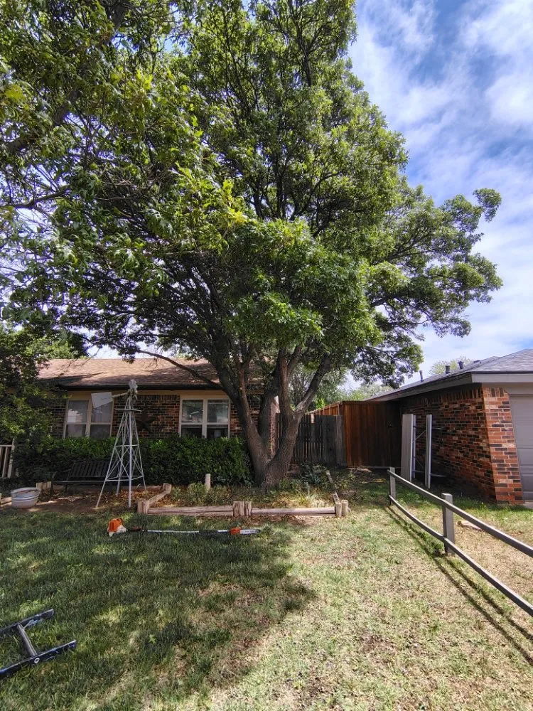 Custom lawn care service for homes in Lubbock, TX by T's Tree Trimming and Lawn Care