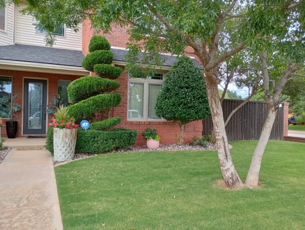 Local outdoor landscaping in Lubbock, TX by T's Tree Trimming and Lawn Care
