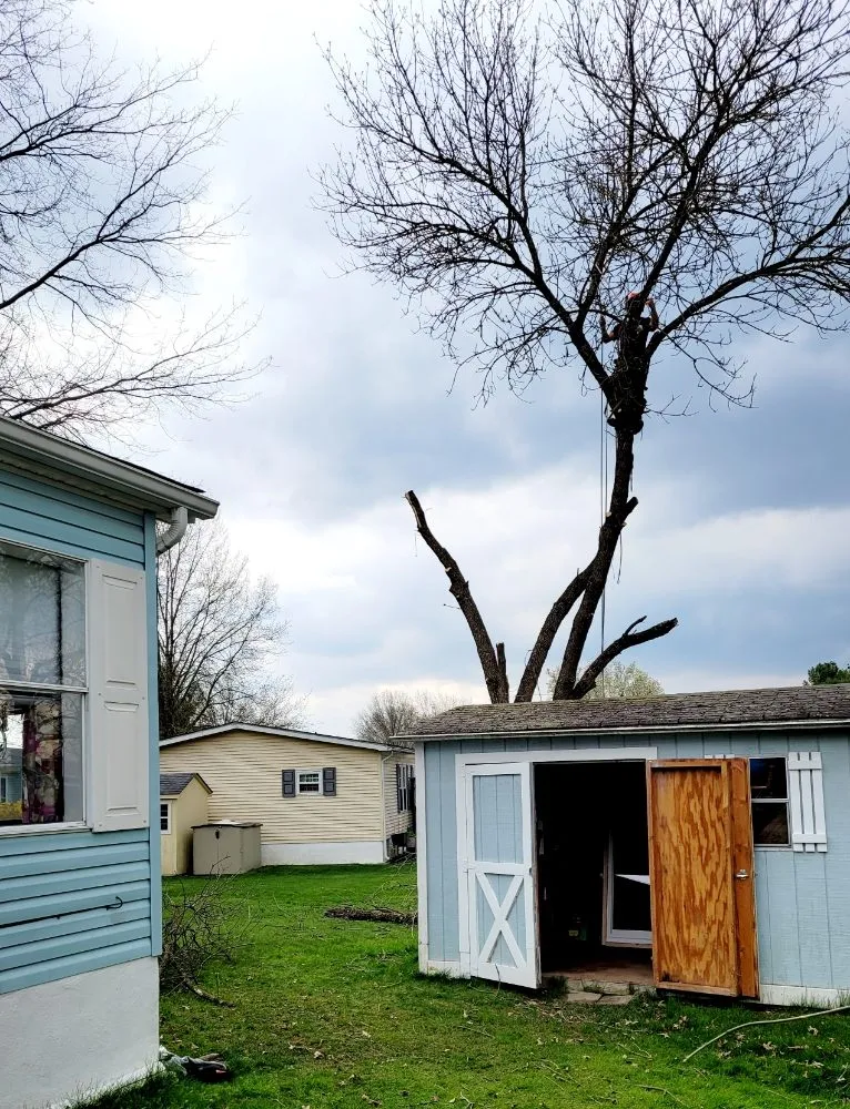 Top-rated landscape design in Pottstown, PA - T's Trees And Trimming