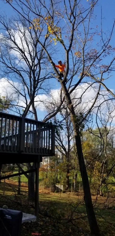 Local residential landscaping for outdoor upgrades in Pottstown, PA by T's Trees And Trimming