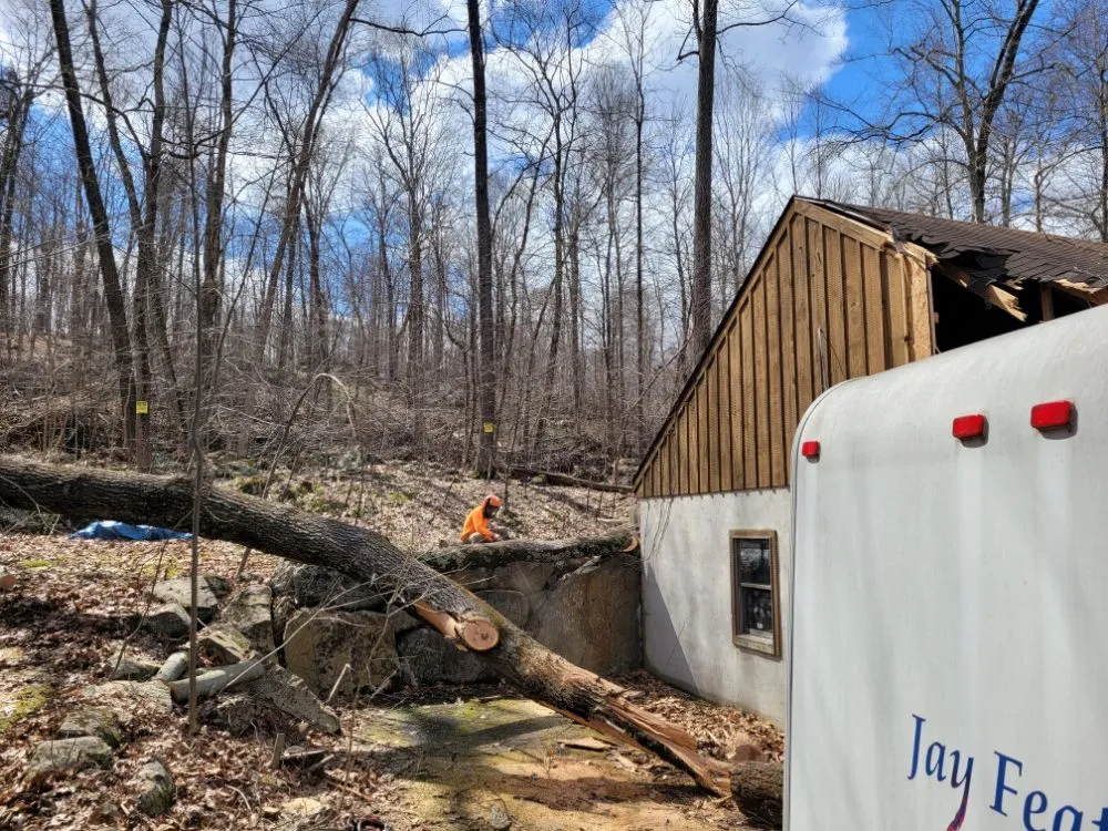 Professional landscaping services in Pottstown, PA by T's Trees And Trimming