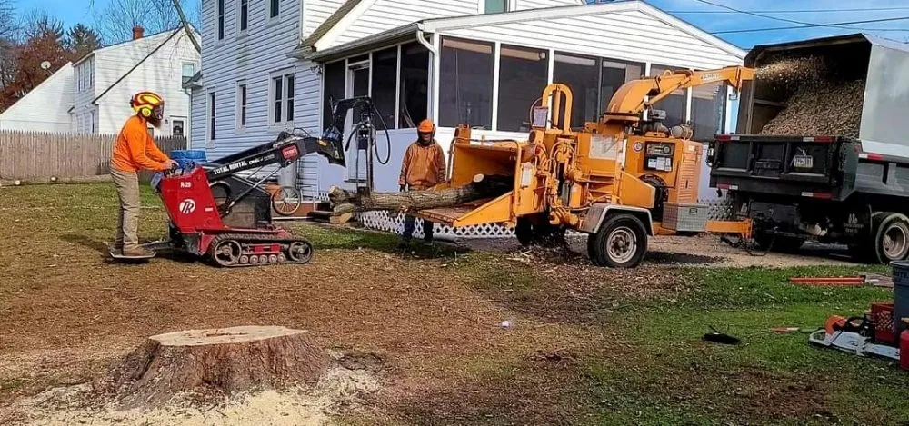 Top-rated garden landscaping experts serving Pottstown, PA - T's Trees And Trimming