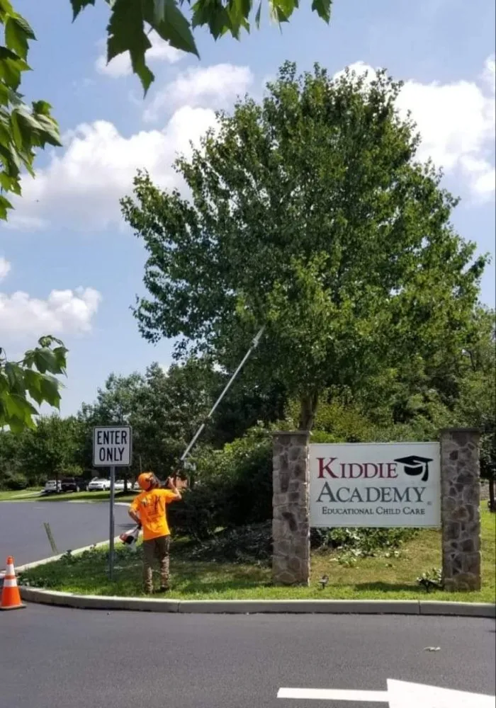 Professional landscape design for outdoor upgrades across Pottstown, PA - T's Trees And Trimming