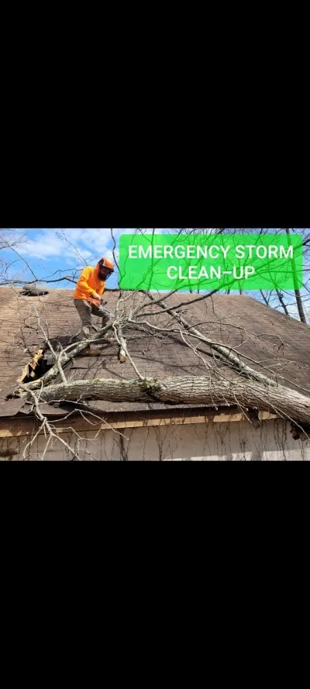 Top-rated garden landscaping in Pottstown, PA by T's Trees And Trimming