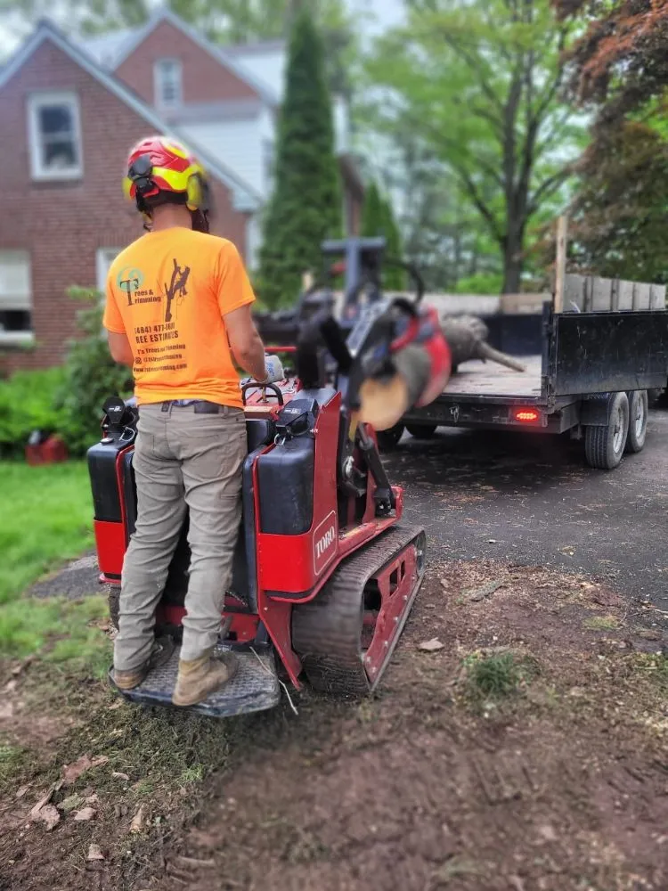 Professional garden landscaping with custom design across Pottstown, PA - T's Trees And Trimming