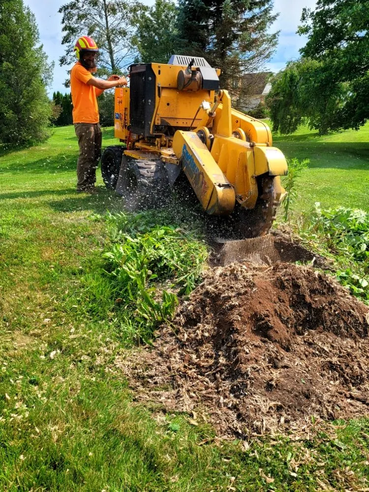 Trusted yard maintenance in Pottstown, PA by T's Trees And Trimming