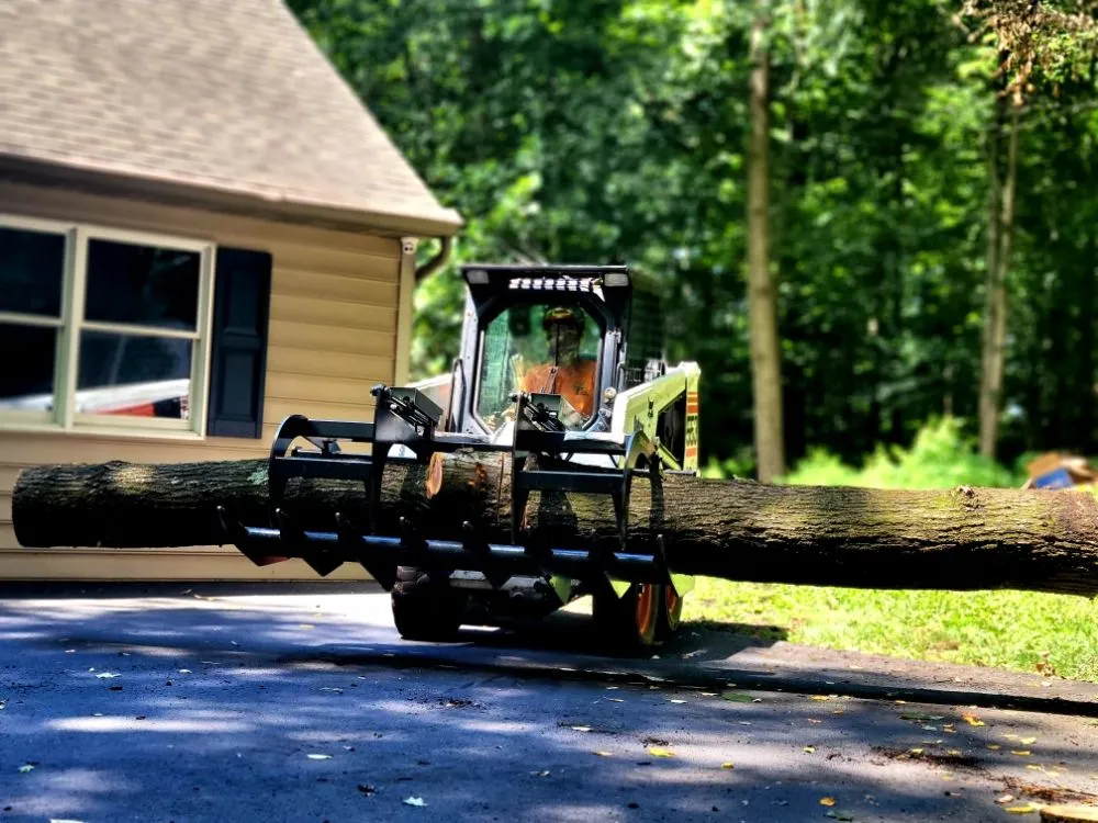 Professional landscape design experts serving Pottstown, PA - T's Trees And Trimming
