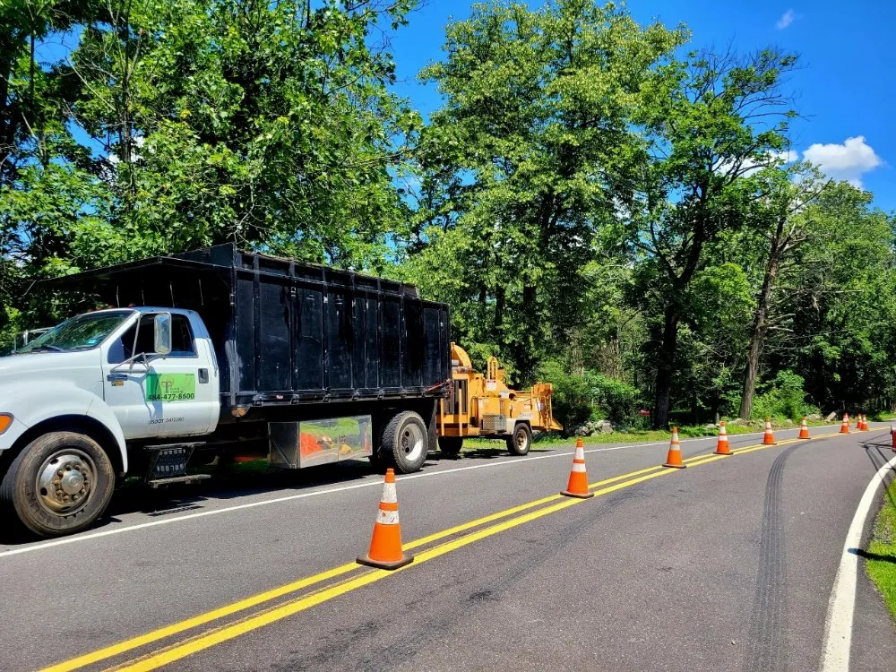 Reliable yard maintenance for beautiful yards in Pottstown, PA by T's Trees And Trimming