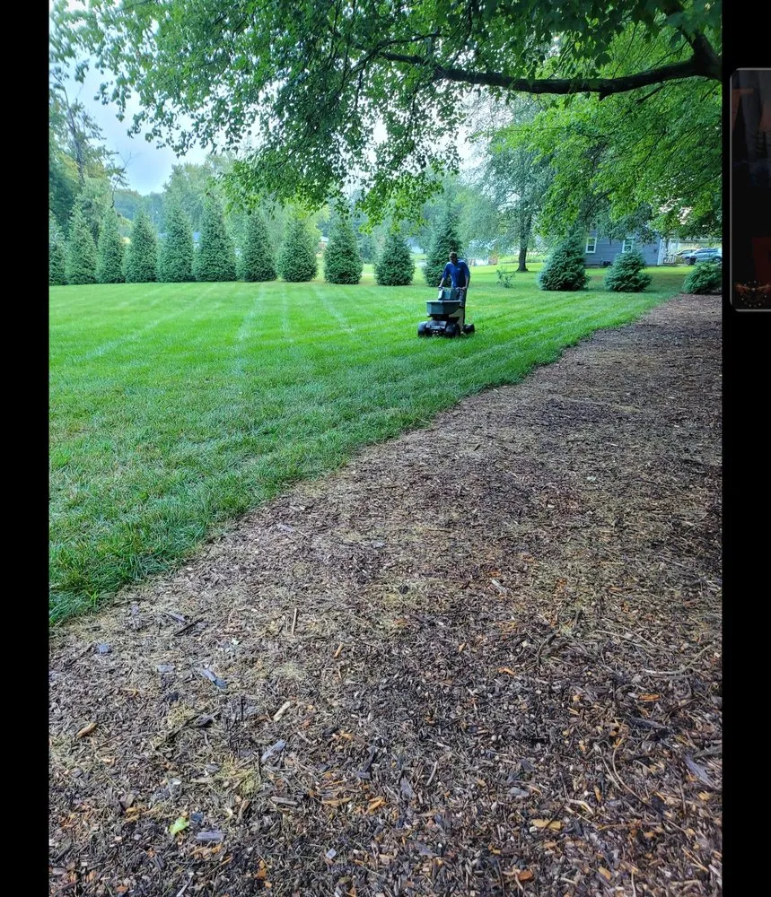 Reliable yard cleanup service near you in Godfrey, IL by T's Turf & Mole