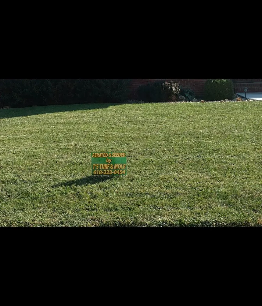 Custom yard maintenance in Godfrey, IL by T's Turf & Mole