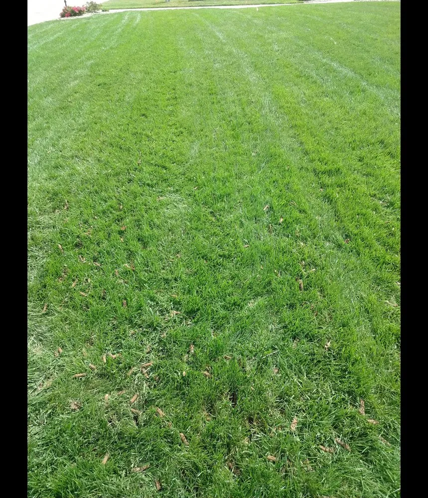 Custom landscaping services in Godfrey, IL - T's Turf & Mole