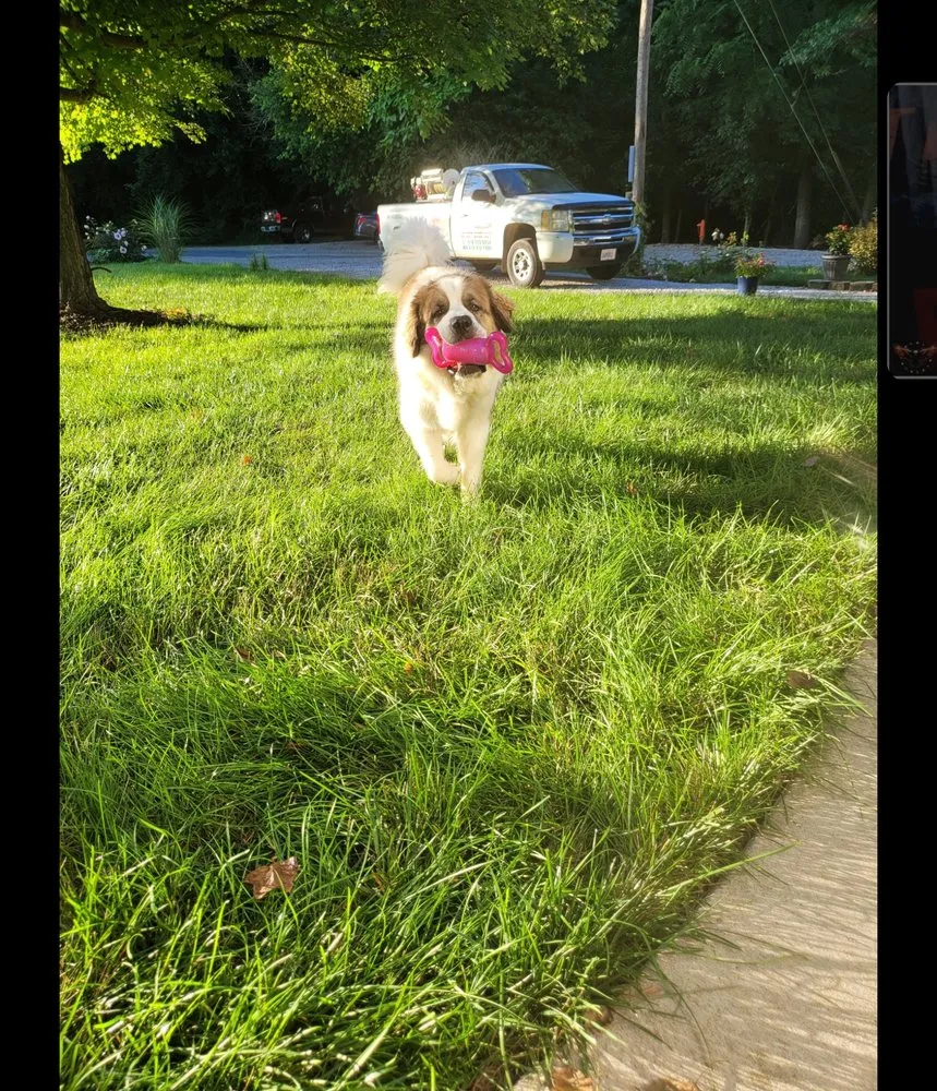 Trusted yard maintenance for beautiful yards across Godfrey, IL - T's Turf & Mole