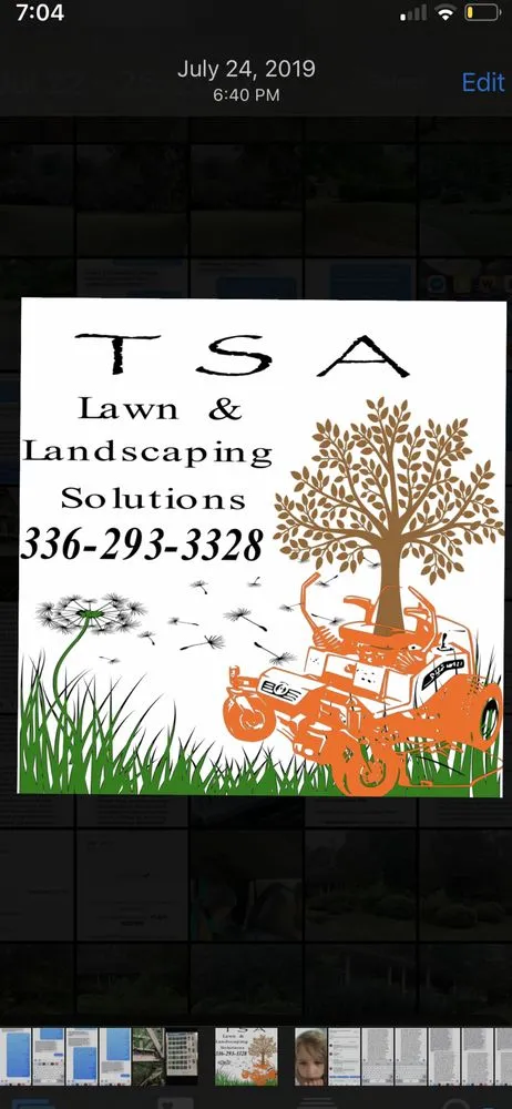 Expert yard cleanup service experts serving Winston-Salem, NC - TSA Lawn & Landscaping Solutions