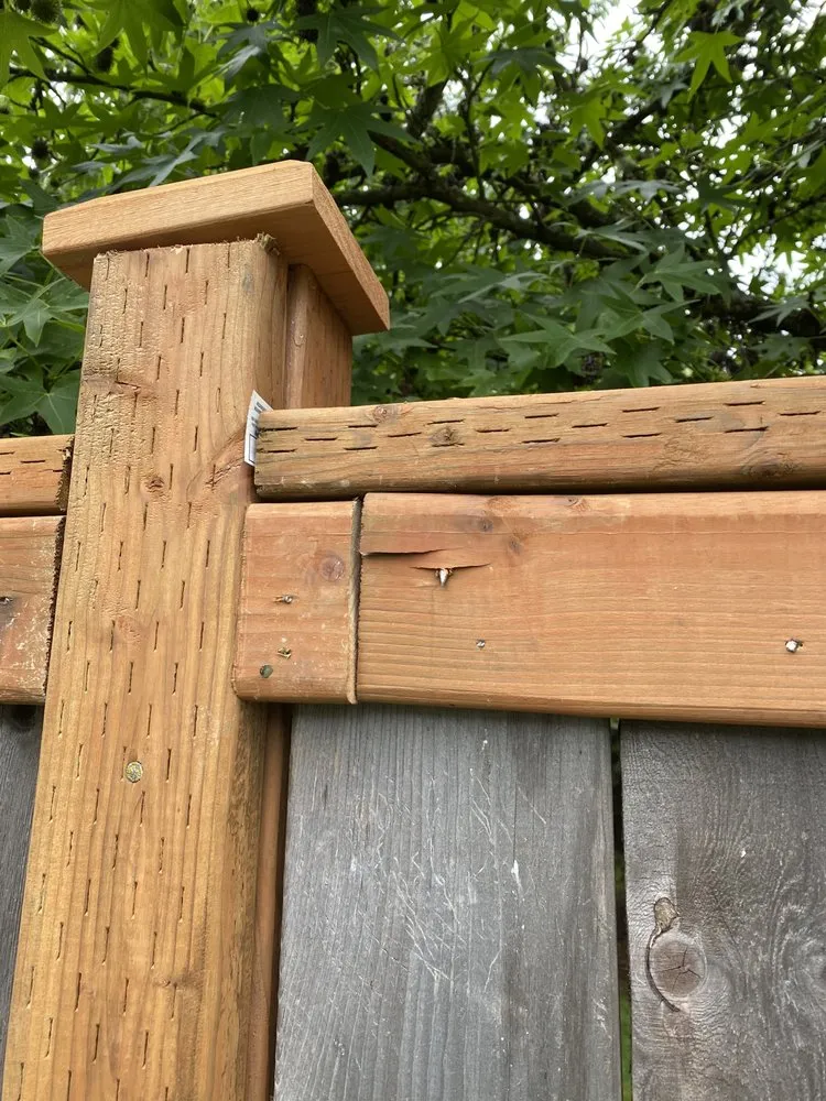 Custom yard maintenance near you across Lynnwood, WA - TSADEQ