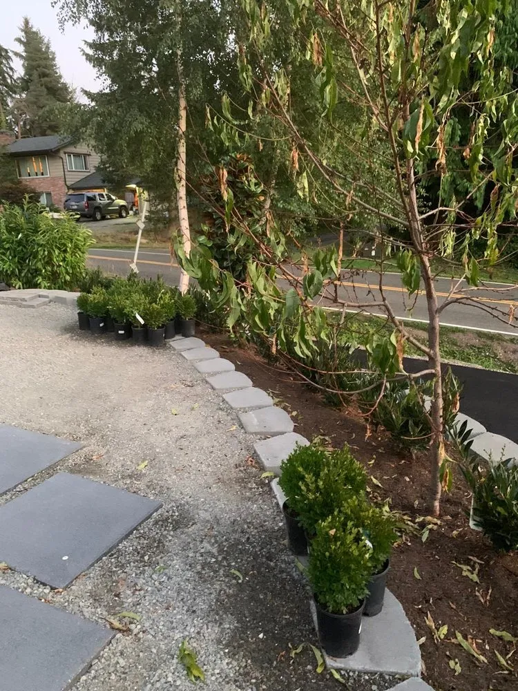 Local yard maintenance near you across Lynnwood, WA - TSADEQ