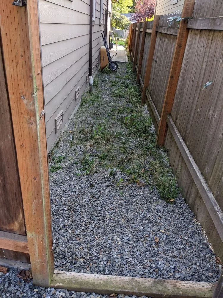 Professional yard cleanup service in Lynnwood, WA by TSADEQ