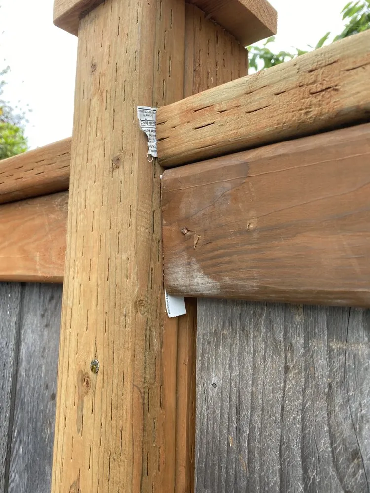 Reliable landscaping services in Lynnwood, WA by TSADEQ