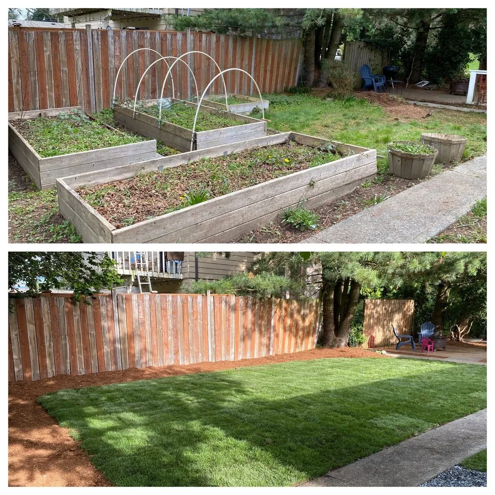 Reliable landscaping services for year-round maintenance across Lynnwood, WA - TSADEQ