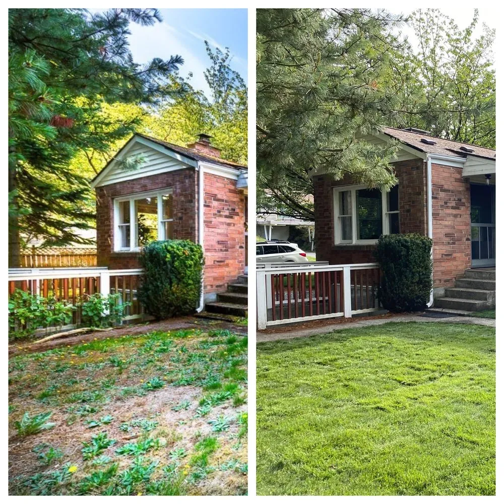 Reliable lawn care service in Lynnwood, WA by TSADEQ